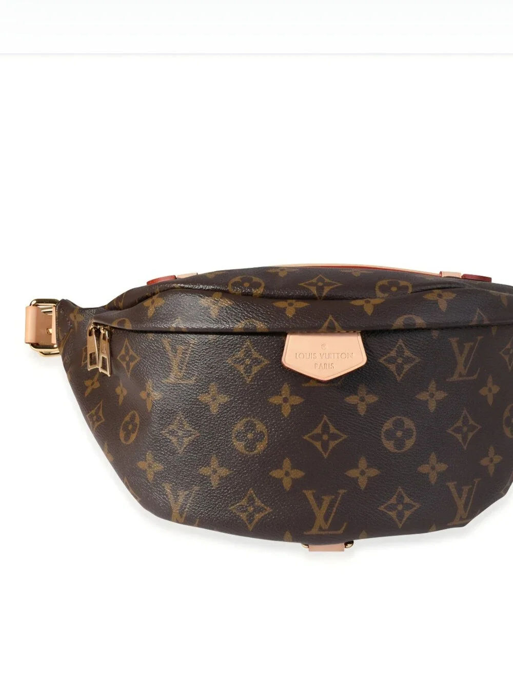 Louis Vuitton Bumbag - Picture 3 of 13